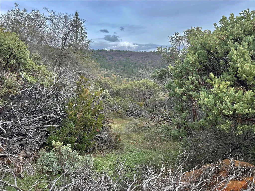 Additional image 2 of Top View Court, Oroville, CA 95966