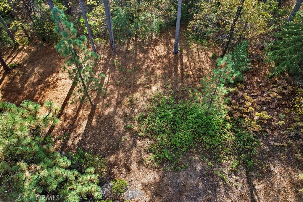 Additional image 41 of Burgundy Lane, Forest Ranch, CA 95942