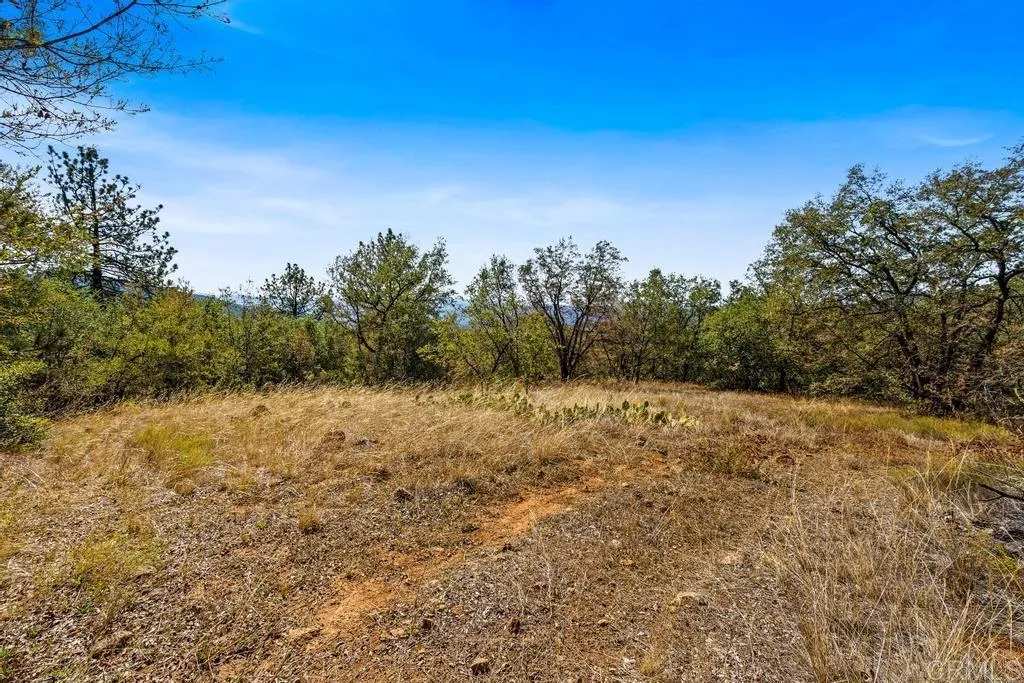 Additional image 57 of 120 Vacant Land Mesa Grande Road, Santa Ysabel, CA 92070