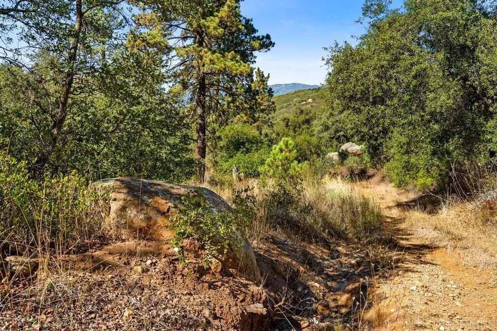 Additional image 21 of 120 Vacant Land Mesa Grande Road, Santa Ysabel, CA 92070