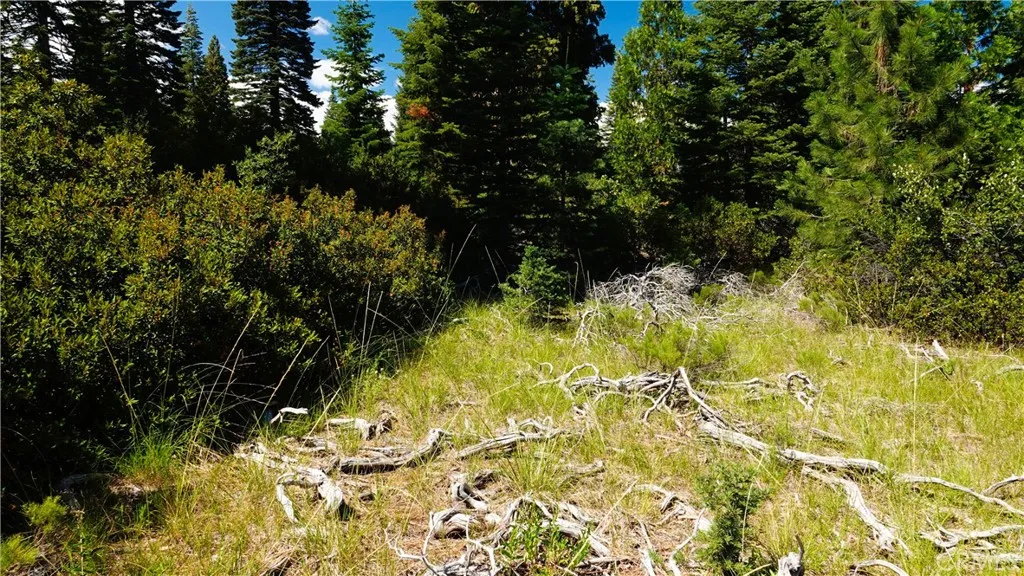 Additional image 42 of Echo Way, McCloud, CA 96057