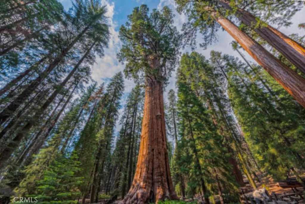 Additional image 15 of 54584 Ponderosa Drive, Springville, CA 93265