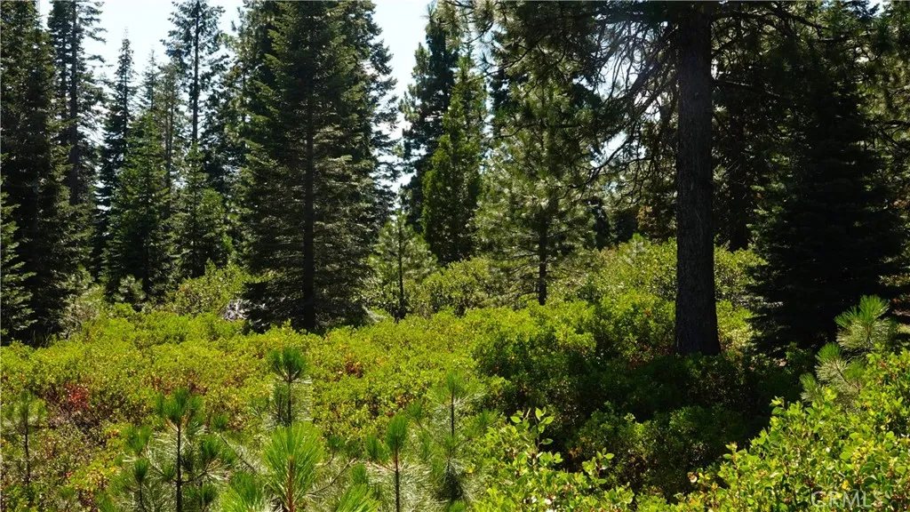 Additional image 43 of Echo Way, McCloud, CA 96057
