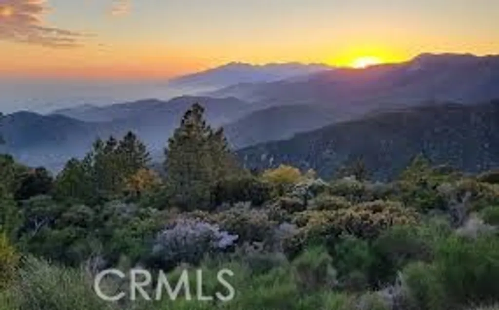 1894 Arrow Bear Park, Running Springs, CA 92382