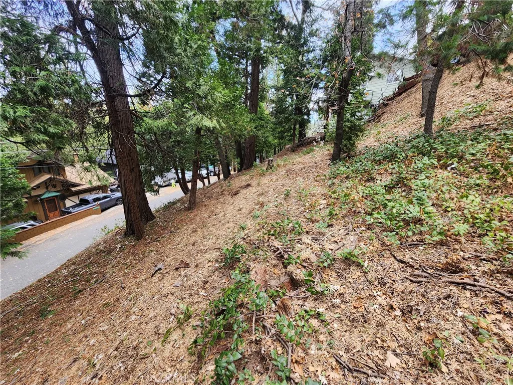 Additional image 8 of Horst Drive, Crestline, CA 92325