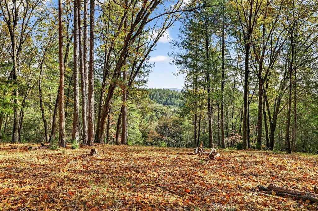 Additional image 30 of Burgundy Lane, Forest Ranch, CA 95942