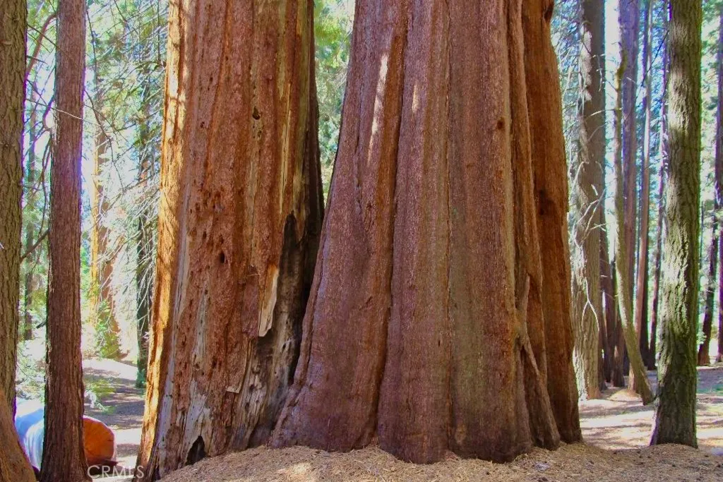 Additional image 5 of 54584 Ponderosa Drive, Springville, CA 93265