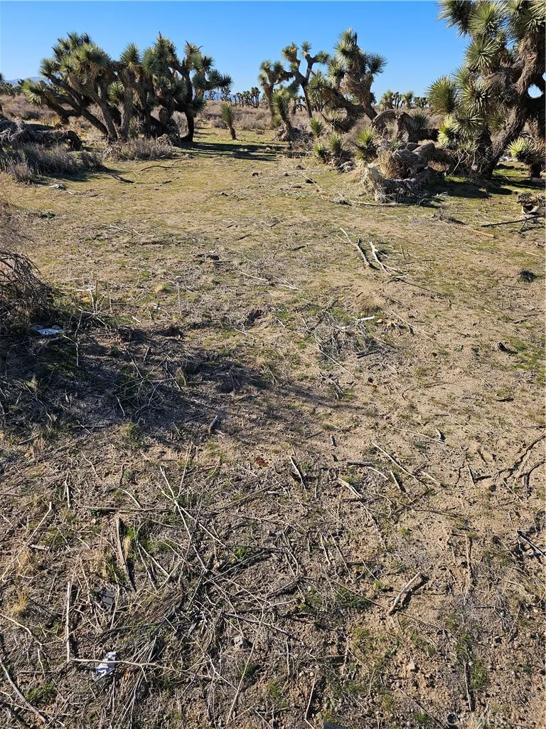 Additional image 3 of Division St, Palmdale, CA 93550