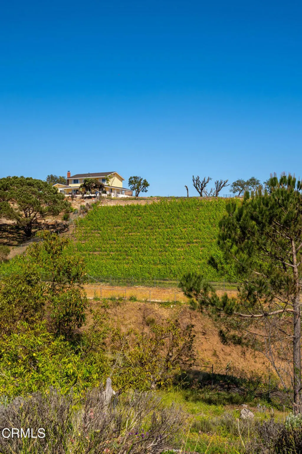 Additional image 12 of 154 Cerro Crest Drive, Camarillo, CA 93010