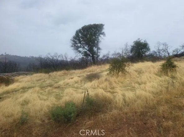 Additional image 16 of Pritchett, Berry Creek, CA 95916