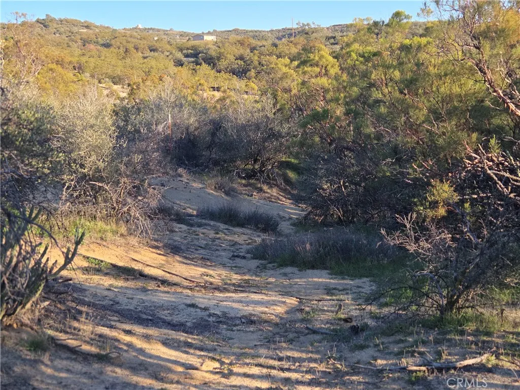 Additional image 22 of Everett, Anza, CA 92539