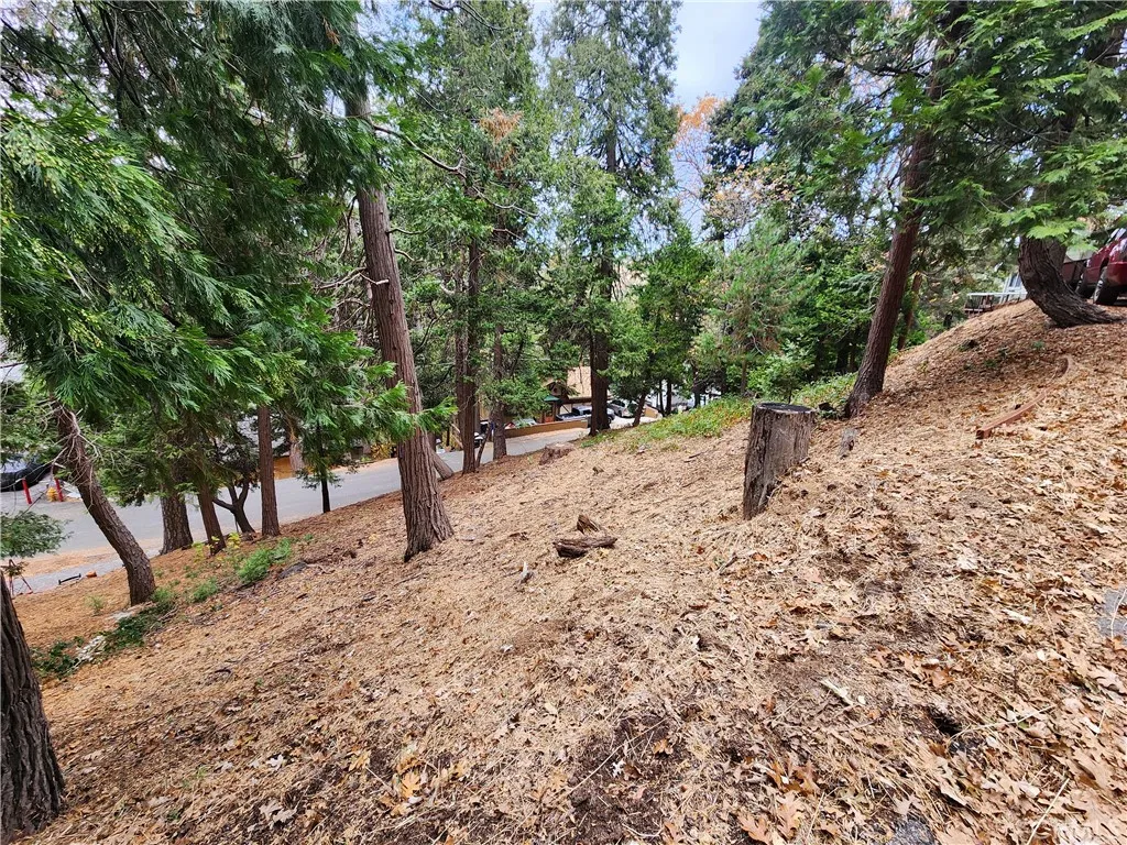Additional image 25 of Horst Drive, Crestline, CA 92325
