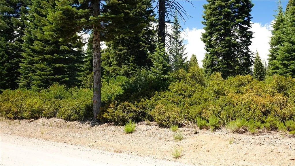 Additional image 35 of Echo Way, McCloud, CA 96057