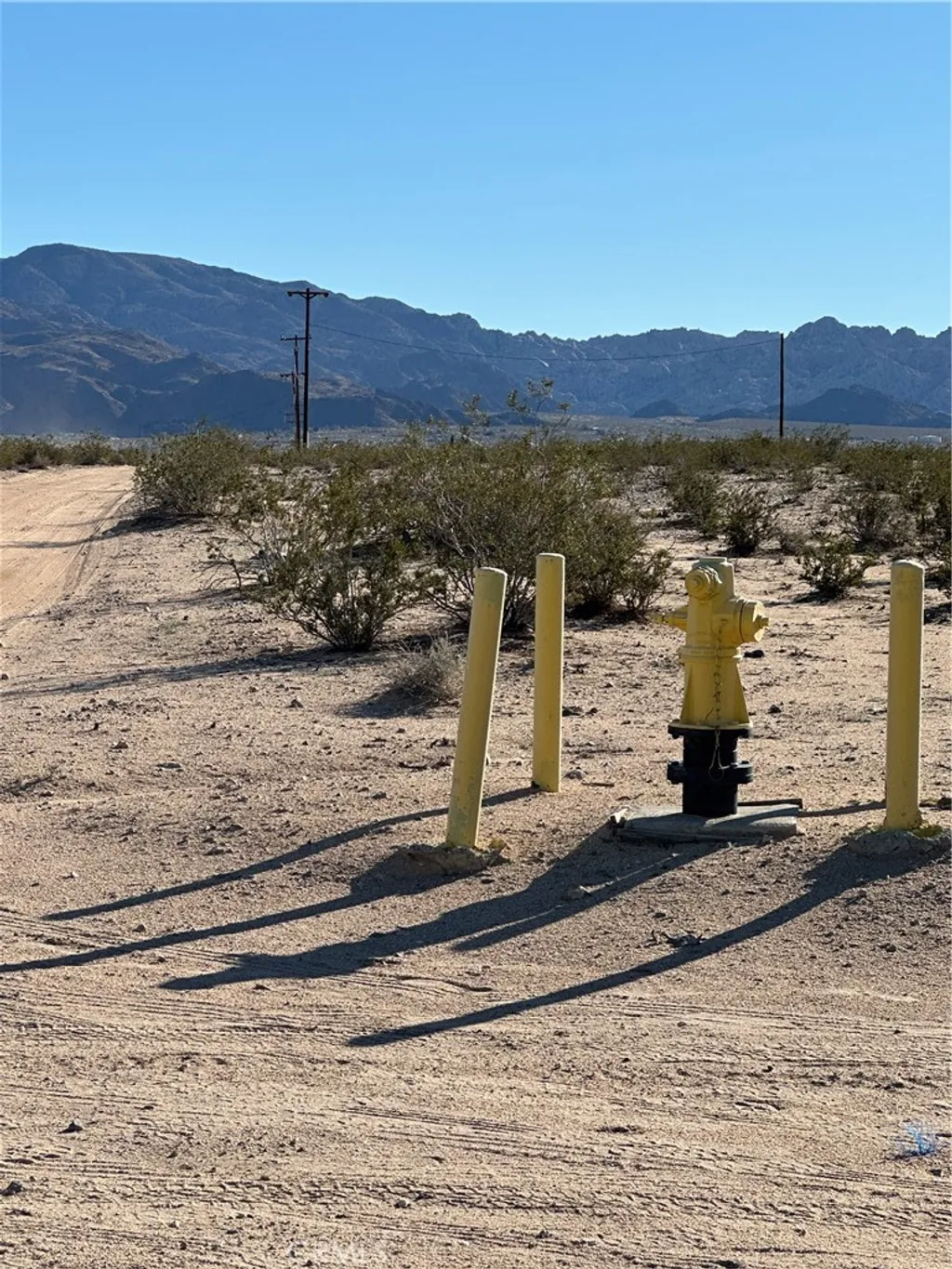 Additional image 3 of Nandia, 29 Palms, CA 92277