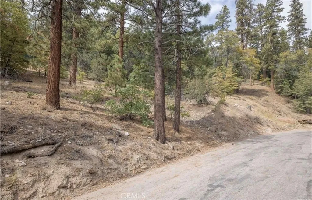 Additional image 2 of 1237 Ridge Road, Fawnskin, CA 92333