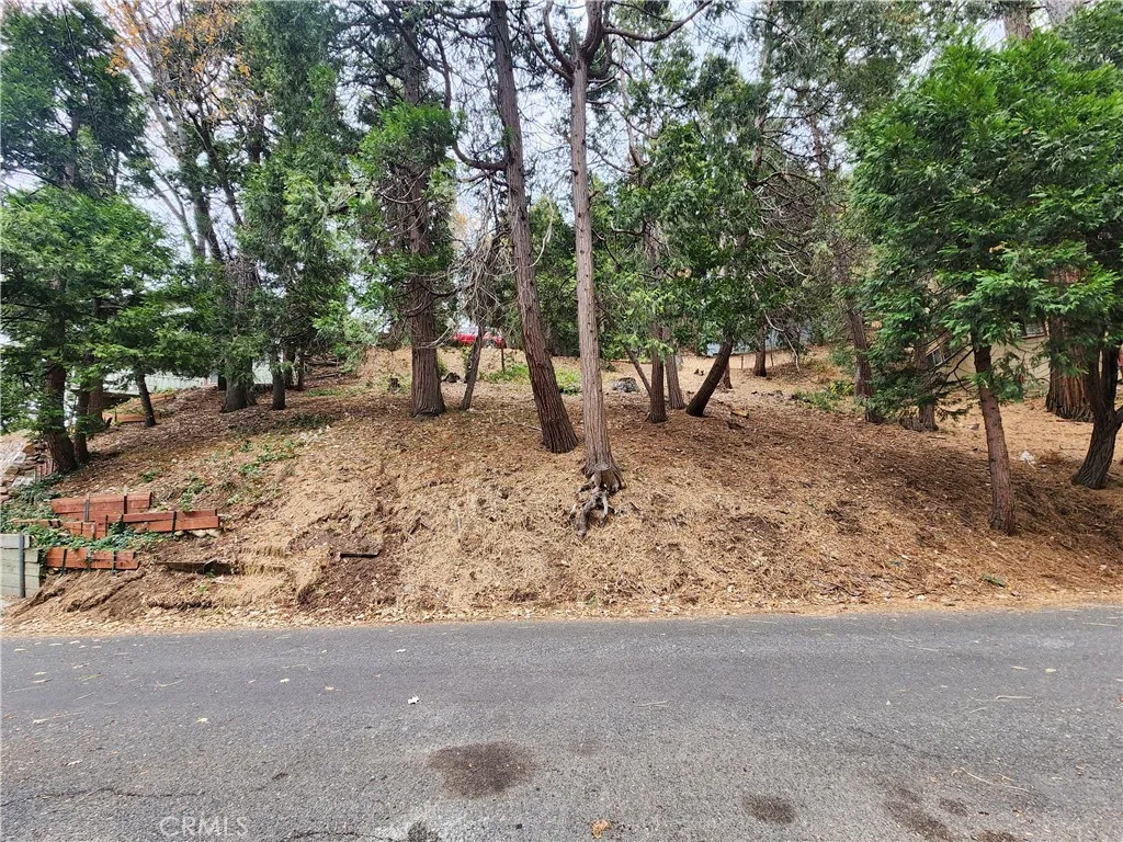 Additional image 17 of Horst Drive, Crestline, CA 92325