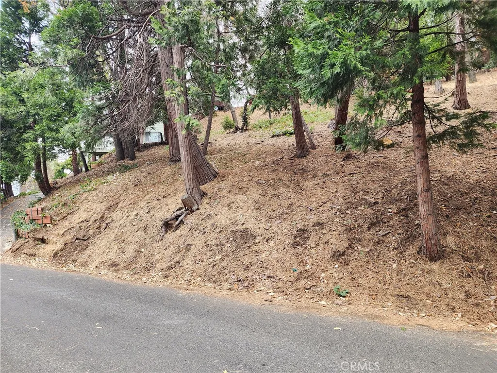 Additional image 30 of Horst Drive, Crestline, CA 92325