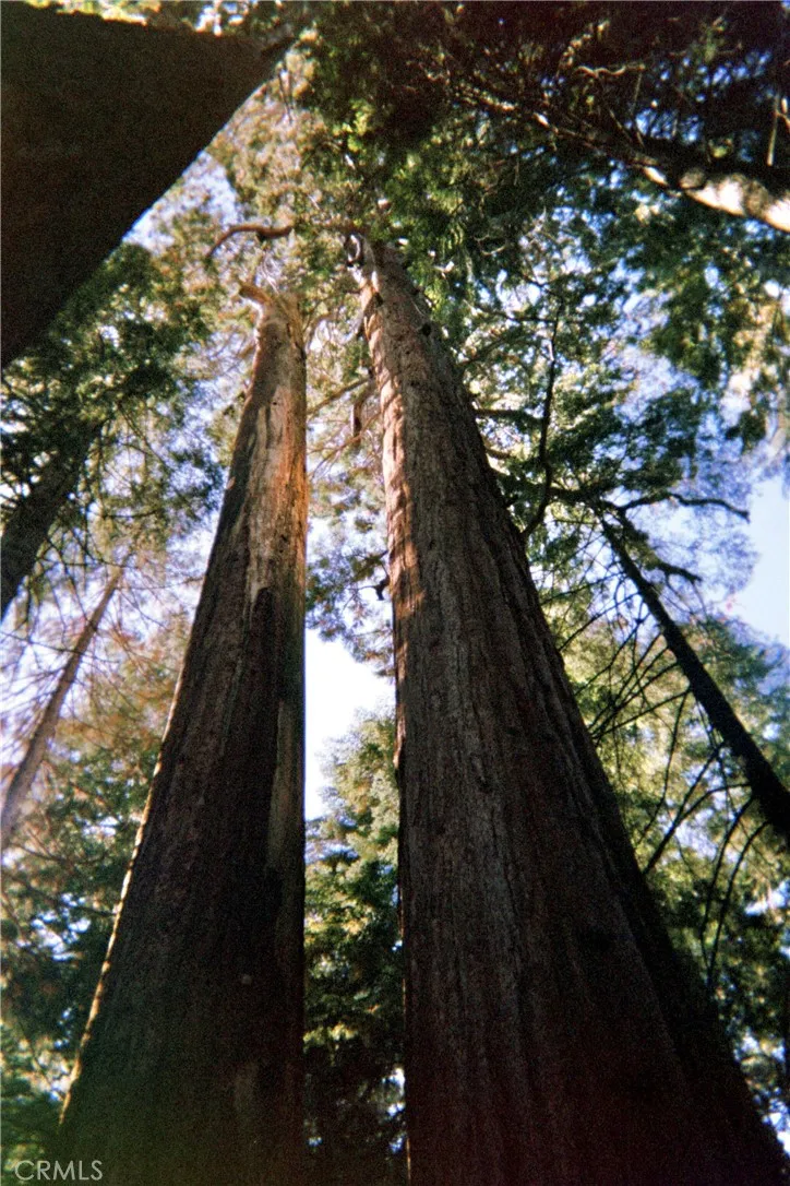 Additional image 9 of 54584 Ponderosa Drive, Springville, CA 93265