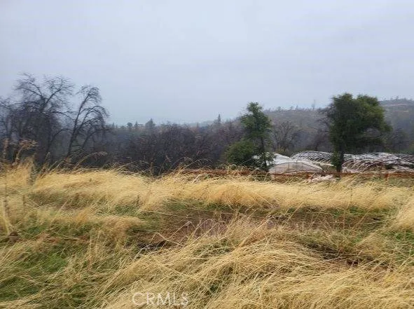 Additional image 13 of Pritchett, Berry Creek, CA 95916