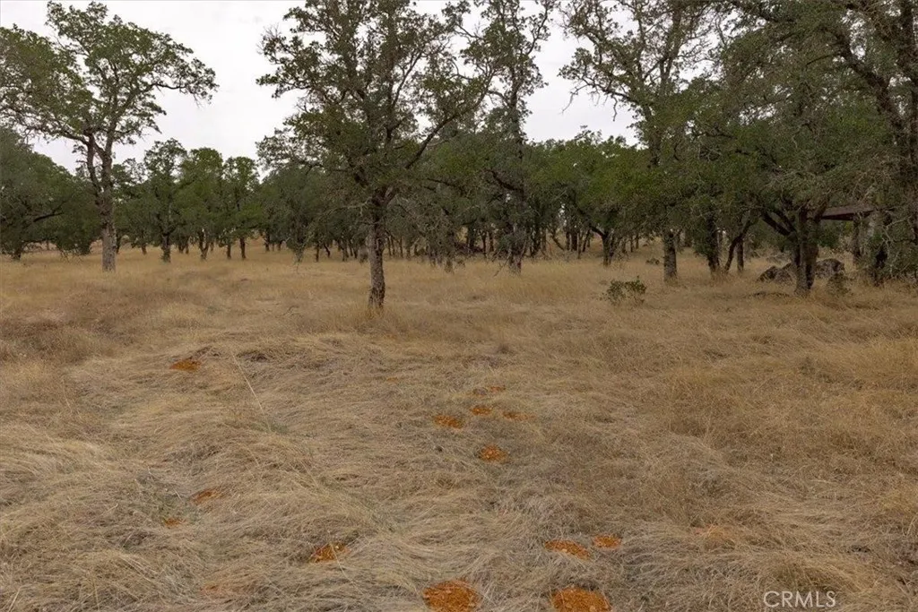 Additional image 56 of Inglewood, Oroville, CA 95966