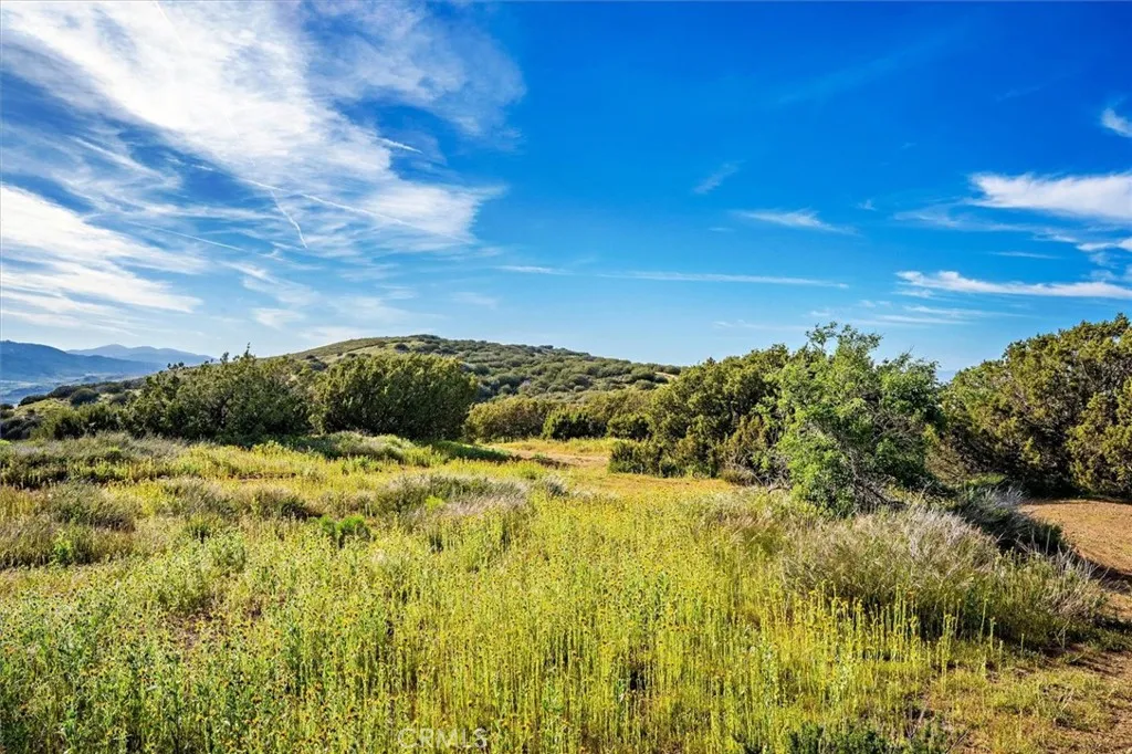 Additional image 74 of 48725 Shallow Springs Road N, Leona Valley, CA 93551