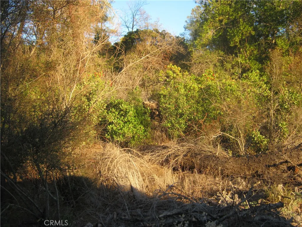 Additional image 4 of 9000 S State Highway 29, Lower Lake, CA 95457