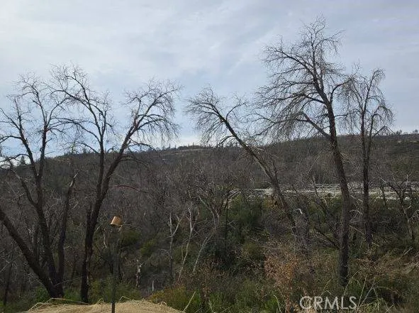 Additional image 19 of Pritchett, Berry Creek, CA 95916