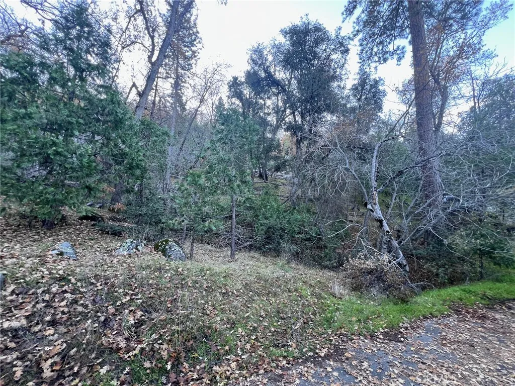 Additional image 4 of Snowy Creek Way, Coarsegold, CA 93614