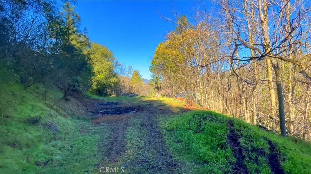 Additional image 10 of 4975 Miller Road, Mariposa, CA 95338