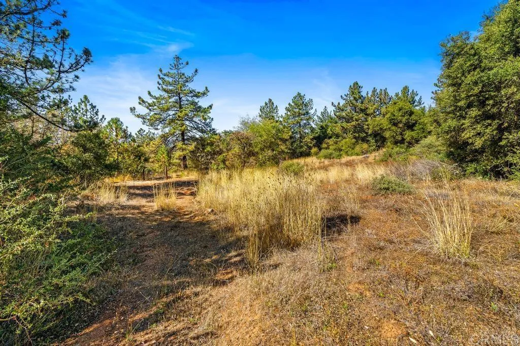 Additional image 46 of 120 Vacant Land Mesa Grande Road, Santa Ysabel, CA 92070