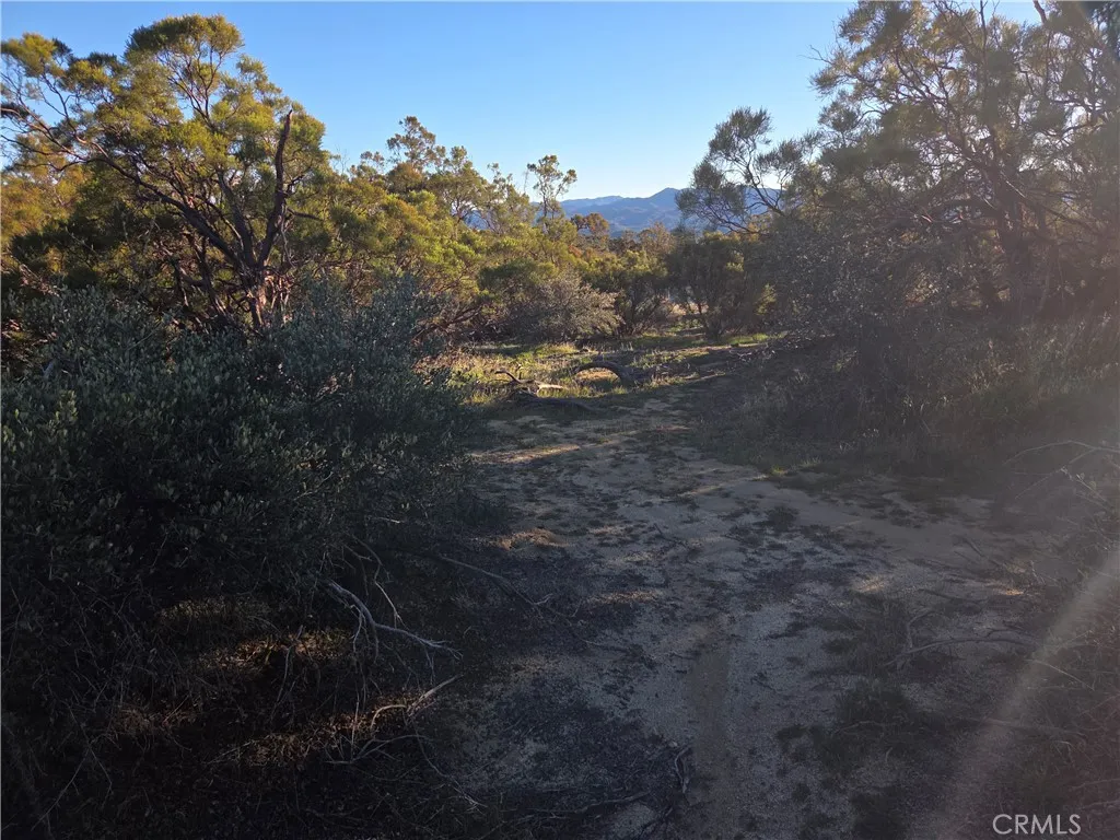 Additional image 21 of Everett, Anza, CA 92539