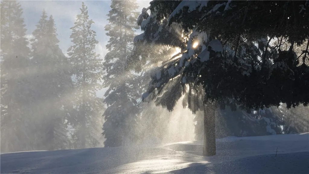 Echo Way, McCloud, CA 96057