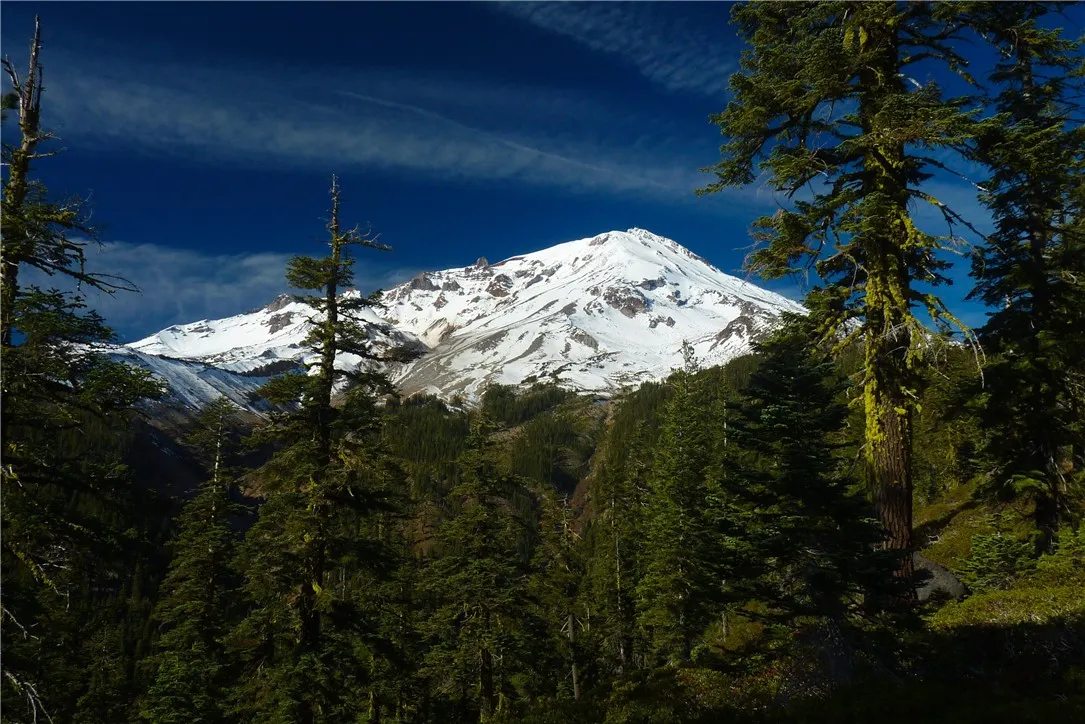 Additional image 55 of Echo Way, McCloud, CA 96057