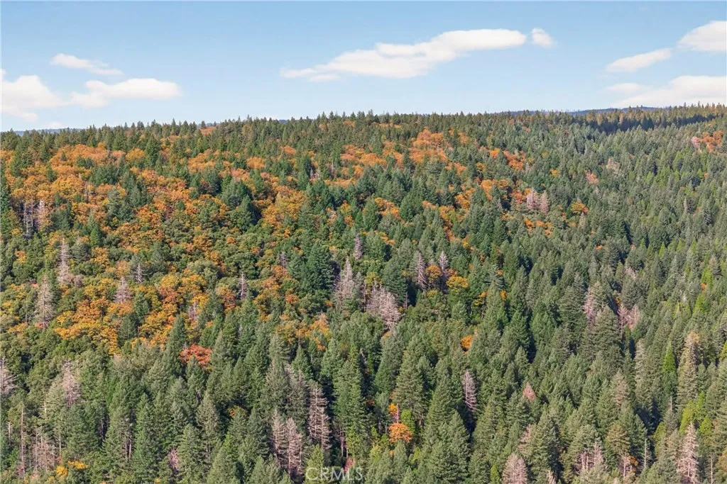 Additional image 48 of Burgundy Lane, Forest Ranch, CA 95942