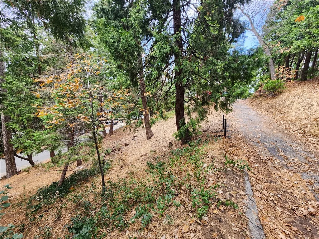 Additional image 14 of Horst Drive, Crestline, CA 92325