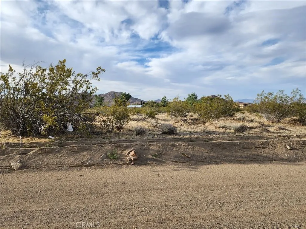 Additional image 5 of 502 Morningside Street, Lucerne Valley, CA 92356