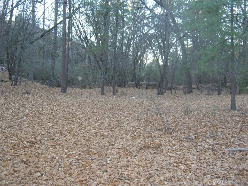 Additional image 14 of 9000 S State Highway 29, Lower Lake, CA 95457