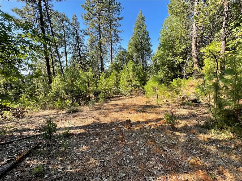 Additional image 12 of Forbestown, Challenge, CA 95925