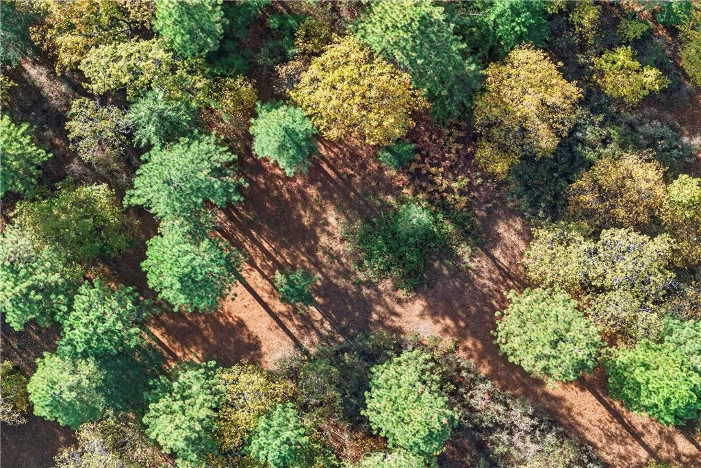 Additional image 43 of Burgundy Lane, Forest Ranch, CA 95942