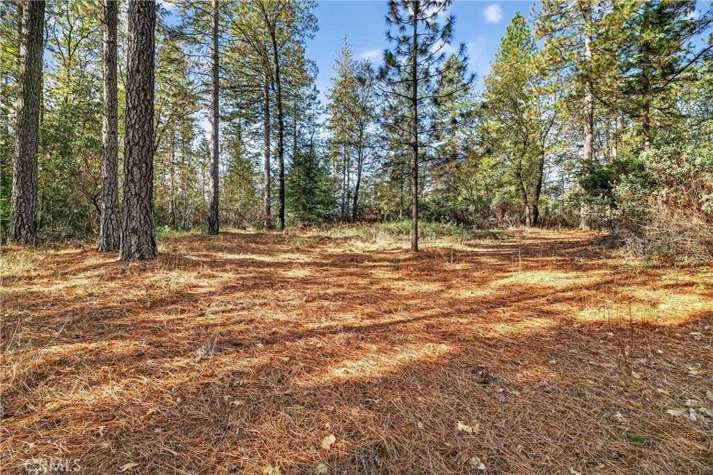 Additional image 33 of Burgundy Lane, Forest Ranch, CA 95942