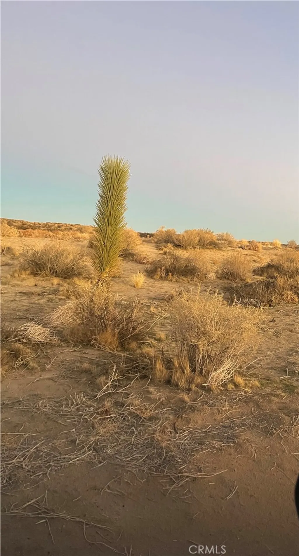 Additional image 3 of Vac/Corner P4/220 Ste Avenue, Palmdale, CA 93591