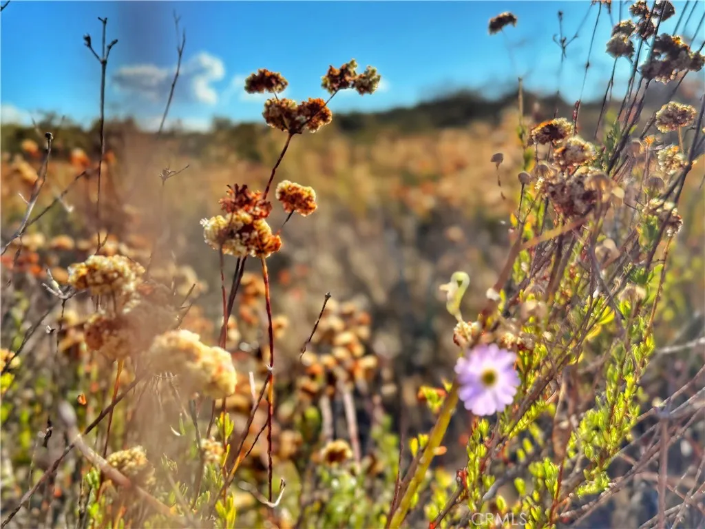 Additional image 49 of Rolling Hills, Aguanga, CA 92539