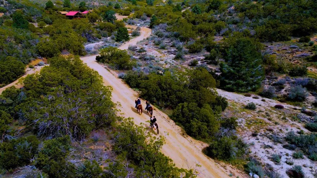 Additional image 35 of 36750 Upper Valley Road, Anza, CA 92539