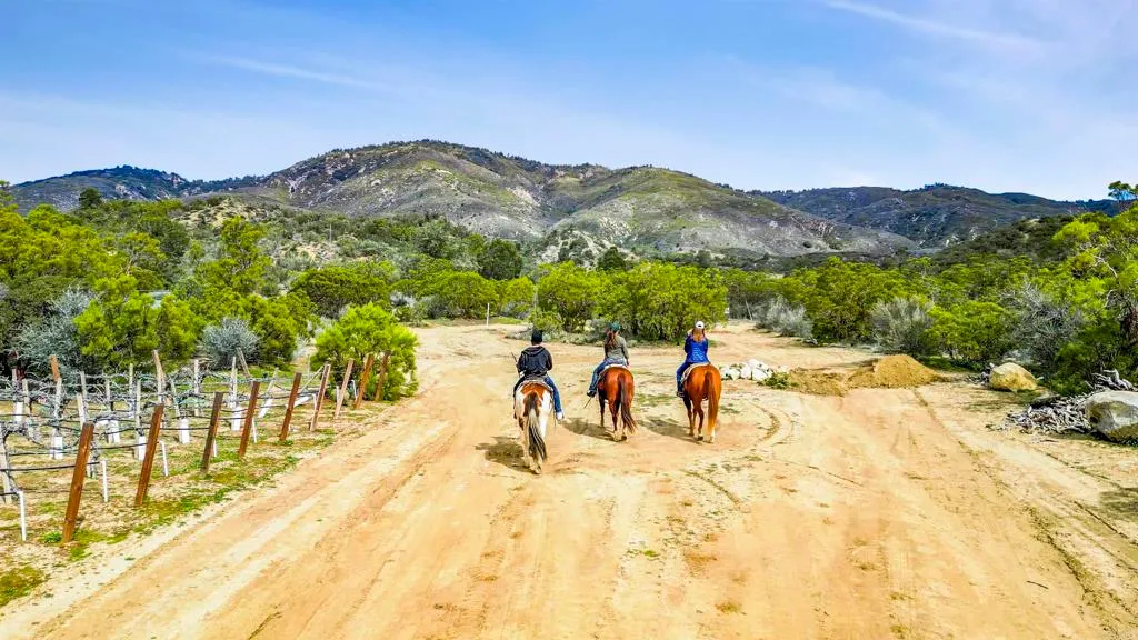 Additional image 8 of 36750 Upper Valley Road, Anza, CA 92539