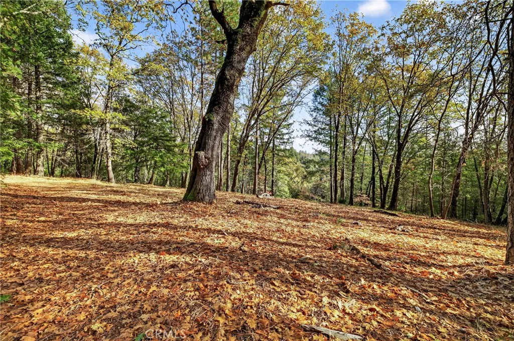 Additional image 4 of Burgundy Lane, Forest Ranch, CA 95942