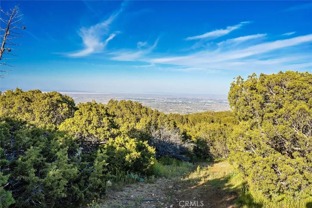 Additional image 26 of 48725 Shallow Springs Road N, Leona Valley, CA 93551