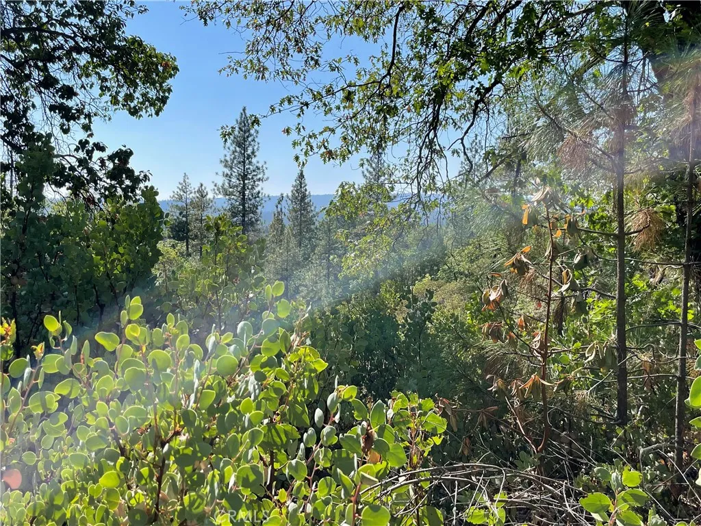 Additional image 10 of Forbestown, Challenge, CA 95925