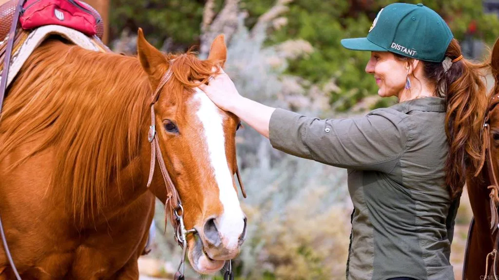 Additional image 82 of 36750 Upper Valley Road, Anza, CA 92539