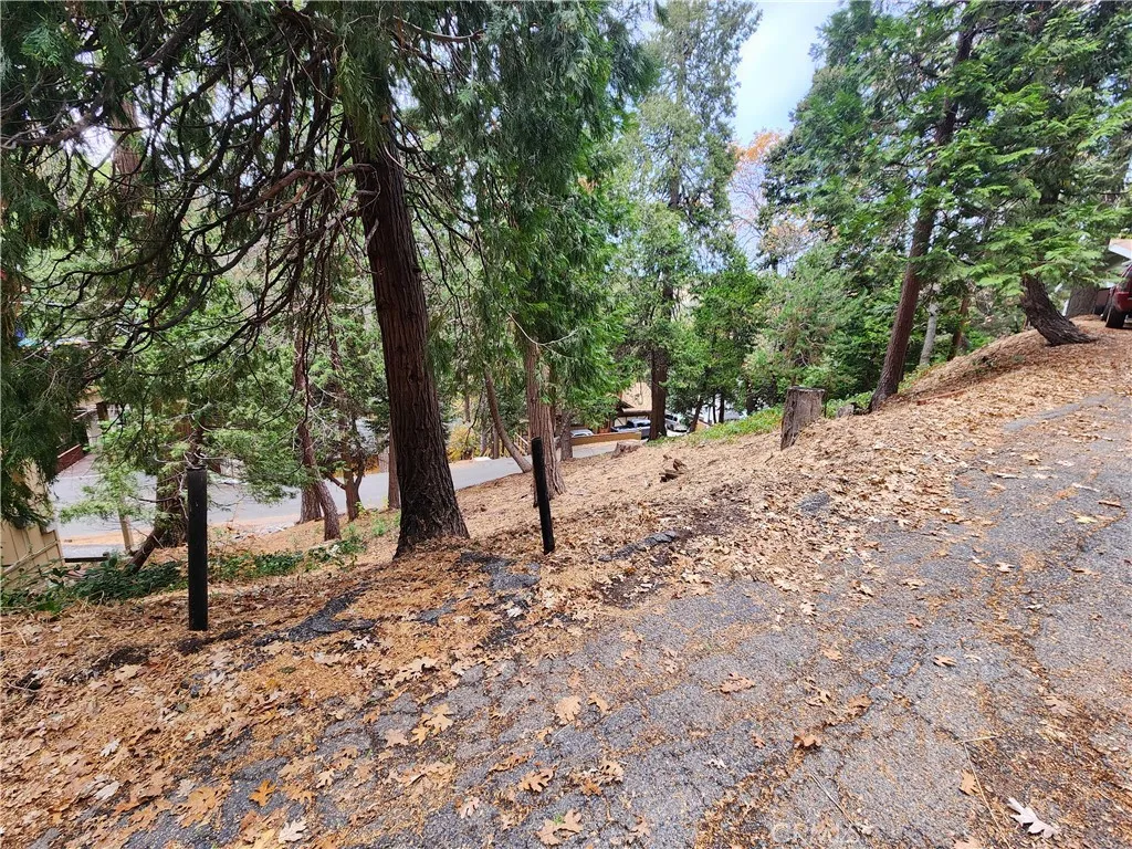 Additional image 13 of Horst Drive, Crestline, CA 92325