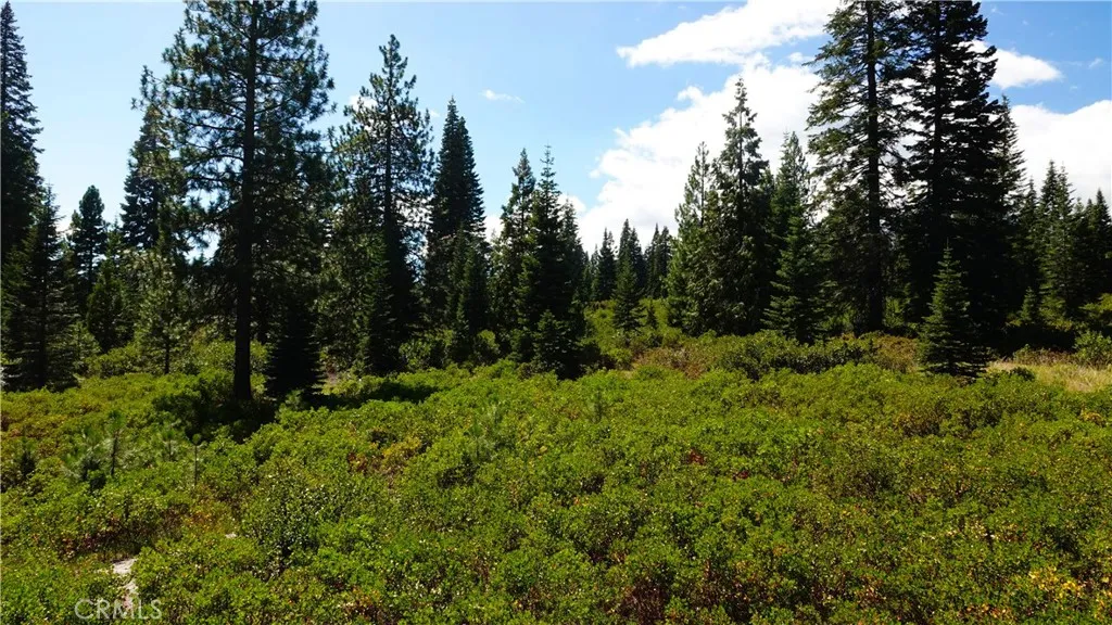 Additional image 13 of Echo Way, McCloud, CA 96057